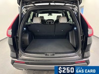AMVIC Licensed Dealer *Every reasonable effort is made to ensure the accuracy of the information sho... (image 5)