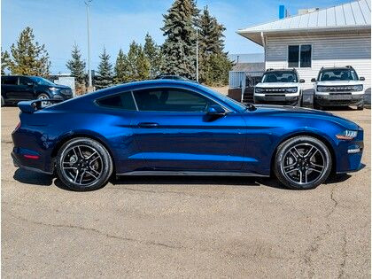 2019 Ford Mustang ECOBOOST COUPE *LOW KMS* w/PERFORMANCE PKG in Cars & Trucks in Edmonton - Image 2