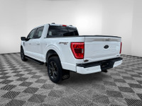 302A PACKAGE, HEATED SEATS, REMOTE START, 3.5L ECOBOOST, AUTOMATIC CLIMATE CONTROL We BUY, We SELL,... (image 2)