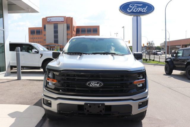 2025 Ford F-150 XLT in Cars & Trucks in Winnipeg - Image 2