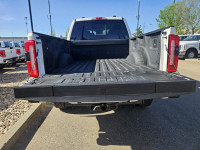 2023 Ford Super Duty F-350 SRW Platinum 4WD Crew Cab 6.75' Box, 6.7L V8 Diesel, Tremor Package, Heat... (image 4)