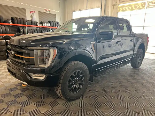 2023 Ford F-150 TREMOR 402A 3.5 V6 4X4 | PANO ROOF | B&O SOUND dans Autos et camions dans Lloydminster - Image 9