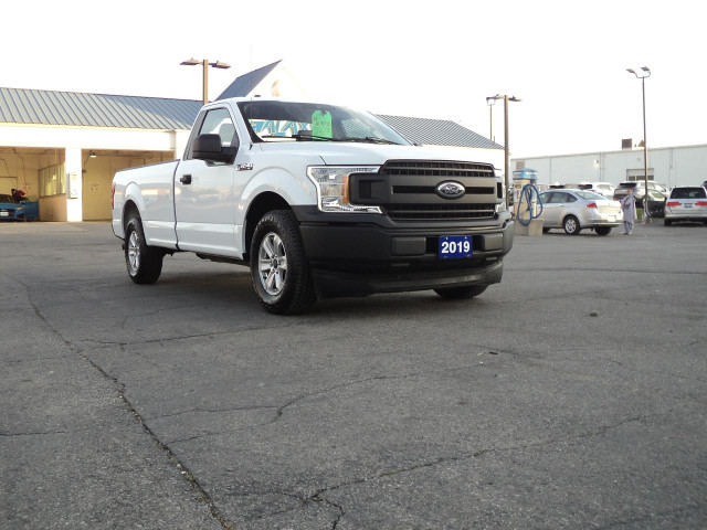 2019 Ford F-150 XL RegCab 2WD 3.3L6cylGas 8' Box BackUpCam in Cars & Trucks in Brantford - Image 4