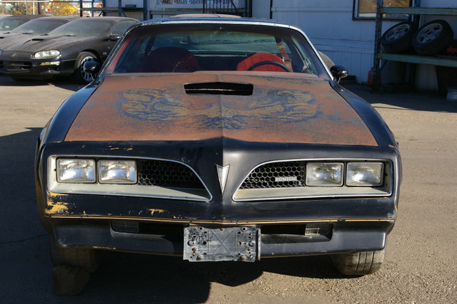 1977 Trans Am 400 Auto with Hurst T-Top Special Edition in Classic Cars in Edmonton - Image 2