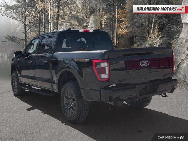 2022 Ford F-150 Tremor in Cars & Trucks in Hamilton - Image 3