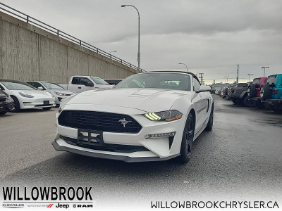 2020 Ford Mustang GT Premium Convertible - Low Mileage
