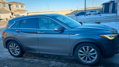 2019 Infiniti QX50 ProACTIVE