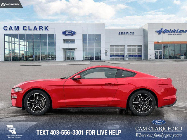 2019 Ford Mustang EcoBoost Premium RACE RED * AUTOMATIC * LEA... in Cars & Trucks in Red Deer - Image 4