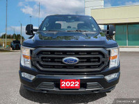 This Ford F-150 boasts a Regular Unleaded V6 3.5 L EcoBoost engine powering this Automatic transmiss... (image 2)