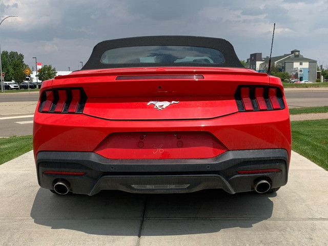 2024 Ford Mustang EcoBoost Premium in Cars & Trucks in Medicine Hat - Image 4