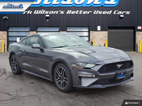 Look at this certified 2020 Ford Mustang EcoBoost Premium Coupe | 6-Speed Manual | Leather | Nav | C... (image 6)