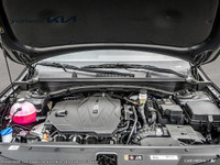 Come visit our Kia of Hamilton team, you can find us at 1885 Upper James St. Hamilton, ON L9B 1K8, o... (image 5)