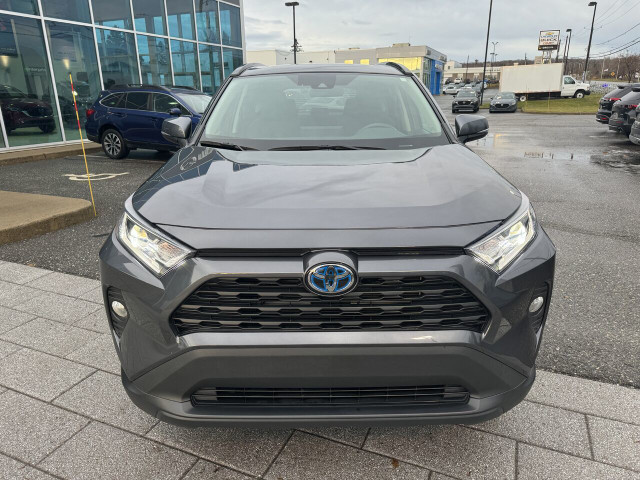 2021 Toyota RAV4 XLE hybride in Cars & Trucks in Thetford Mines - Image 3