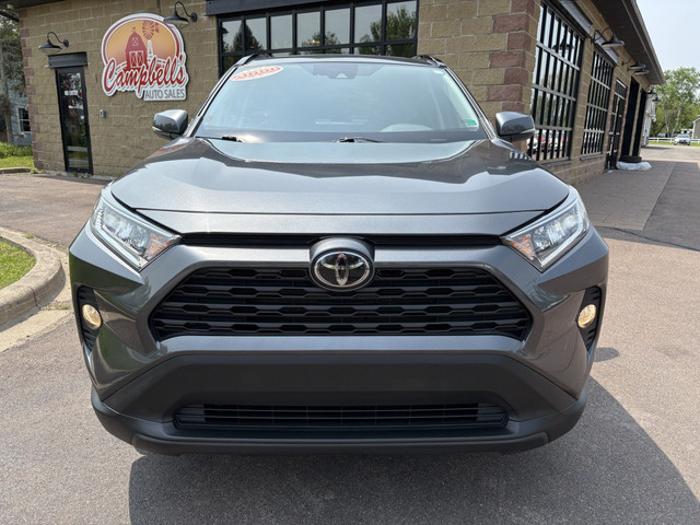 2020 Toyota RAV4 XLE Sunroof! Remote Starter! Backup Camera! in Cars & Trucks in Moncton - Image 2