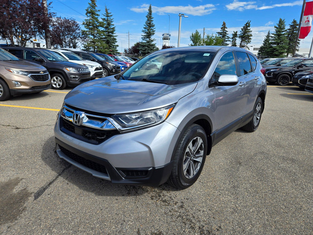 2019 Honda CR-V LX Clean Carfax | Apple CarPlay | Adaptive Cr... in Cars & Trucks in Calgary - Image 3