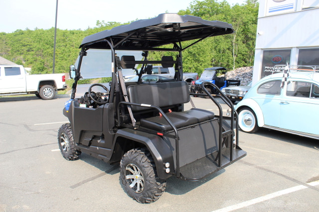 2023 Massimo Motors Buck 450 X Golf in Cars & Trucks in Sudbury - Image 3