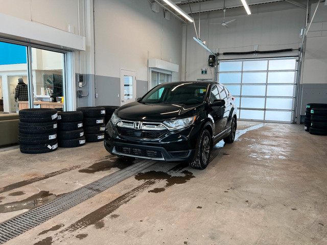 2019 Honda CR-V LX in Cars & Trucks in Prince Albert - Image 3