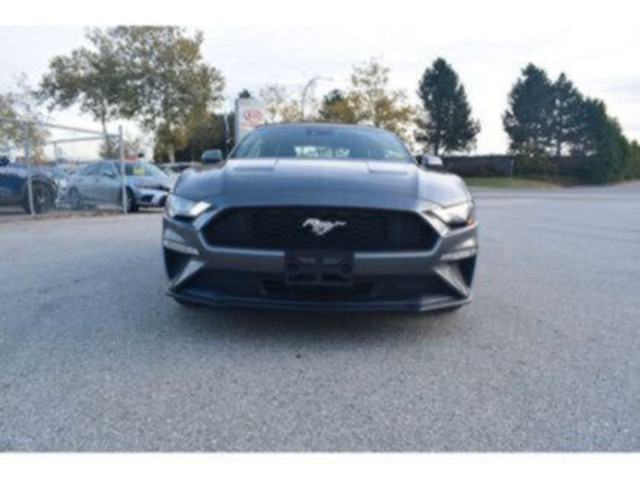 2023 Ford Mustang EcoBoost in Cars & Trucks in Burnaby/New Westminster - Image 2
