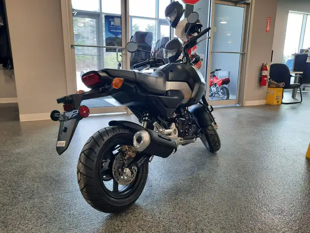 2025 HONDA M/C GROM 2025 GROM THE MINI MOTO'S ARE HERE in Other in Bridgewater - Image 5