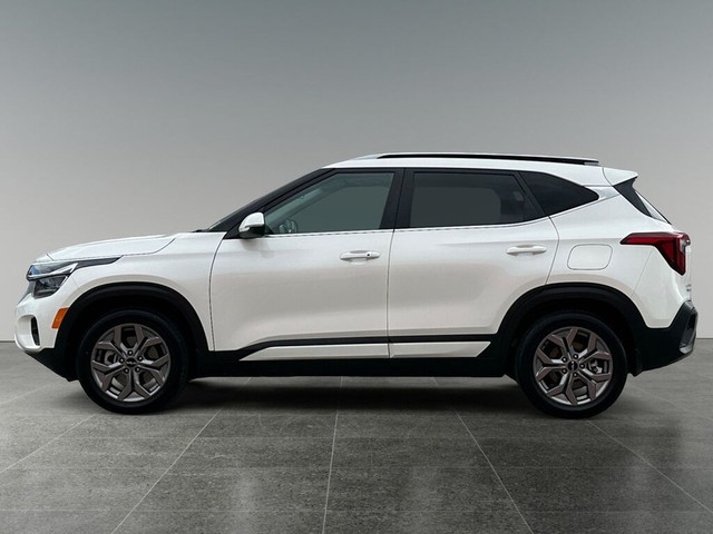 2024 Kia Seltos EX in Cars & Trucks in Calgary - Image 2