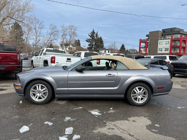  2006 Ford Mustang GT in Cars & Trucks in Calgary - Image 3