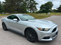 WAS: $22795 NOW: $20888 plus taxes and licensing feesFeel the Thrill! 2017 Ford Mustang V6 - Manual... (image 6)