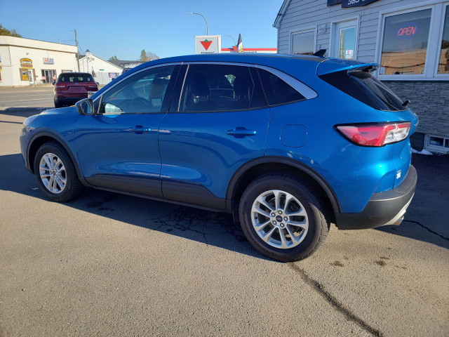 2020 Ford Escape SE in Cars & Trucks in Moncton - Image 3