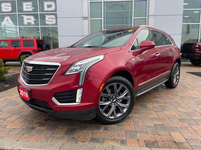 2019 Cadillac XT5 Luxury AWD in Cars & Trucks in Ottawa - Image 3