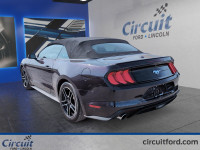 La Ford Mustang décapotable 2023 incarne l'élégance sportive à ciel ouvert. Son moteur 2.3L EcoBoost... (image 2)
