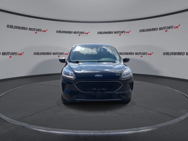 2022 Ford Escape SE in Cars & Trucks in Hamilton - Image 3