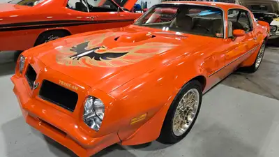 1976 Pontiac Trans Am. Factory original paint and hood bird. 58,000 miles showing on the clock, and...