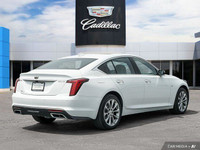 Experience the refined luxury and exhilarating performance of this 2022 Cadillac CT5 Premium Luxury.... (image 5)