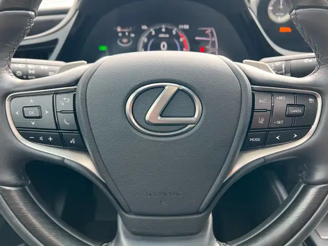 2022 Lexus ES 300h HYBRID REAR VIEW CAMERA SUNROOF NAVI BSM LKA in Cars & Trucks in City of Toronto - Image 24