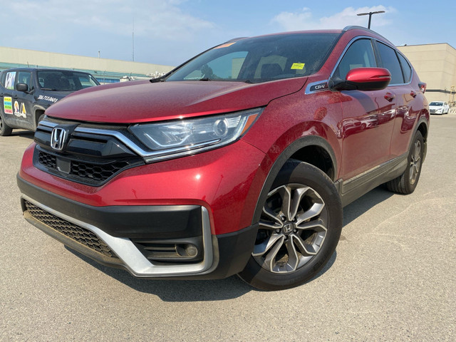 2020 Honda CR-V EX-L LIMITED TIME TRIP FOR 2 TO VEGAS WITH PU... in Cars & Trucks in Saskatoon - Image 4