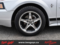 2002 Ford Mustang V6 Satin Silver Clearcoat *AUTOMATIC*, *LOCAL TRADE*, *MARKET VALUE PRICING*, **NE... (image 4)