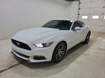 2015 Ford Mustang 2dr Fastback EcoBoost