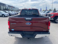 Hop into the bold and burly 2016 Ford F-150 XLT 5.0L, a pickup that's as ready for adventure as it i... (image 4)