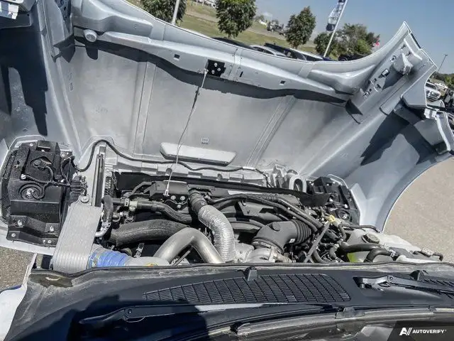 2025 Ford F-650 Regular Cab - 600A in Cars & Trucks in Brandon - Image 18