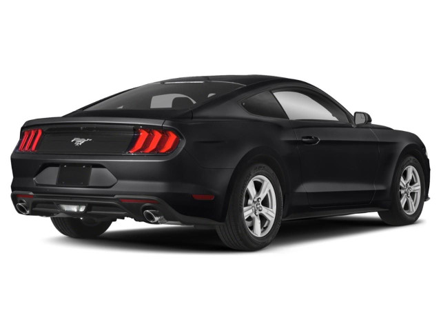 2020 Ford Mustang 2.3L EcoBoost Turbocharged 4-Cylinder Engin... in Cars & Trucks in Ottawa - Image 2
