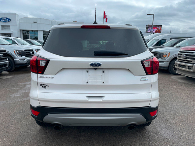 2019 Ford Escape SEL Remote Start, Power Liftgate, Intelligen... in Cars & Trucks in Calgary - Image 4