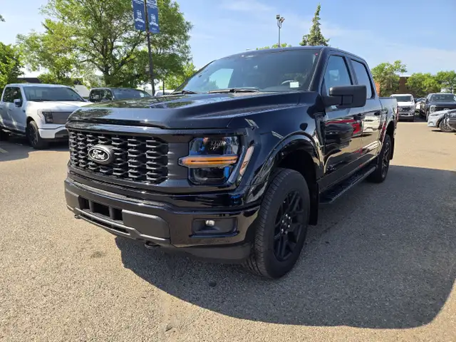 2025 Ford F-150 STX | BLACK APP PKG | MOBILE OFF PKG | BLIS dans Autos et camions dans Calgary - Image 13