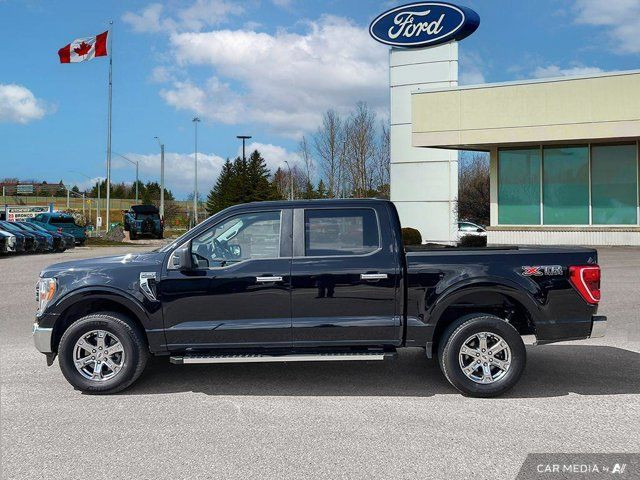2022 Ford F-150 XLT in Cars & Trucks in Kitchener / Waterloo - Image 4