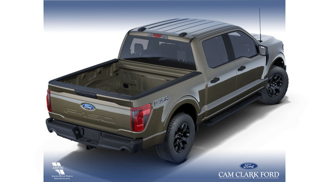 2025 Ford F-150 STX in Cars & Trucks in Red Deer - Image 4