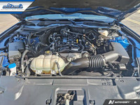 Look at this certified 2022 Ford Mustang EcoBoost Premium Convertible | Manual | 101A Group | Active... (image 8)