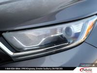 Discover the reliability and versatility of the 2020 Honda CR-V LX, now available at Palladino Honda... (image 7)