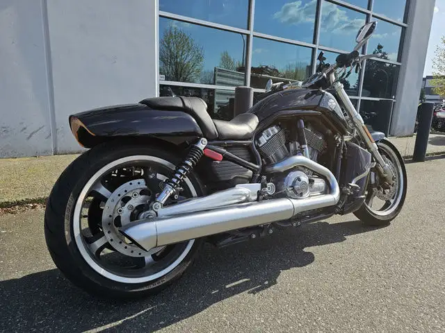2010 Harley-Davidson VRSC V-Rod Muscle in Street, Cruisers & Choppers in Vancouver - Image 7
