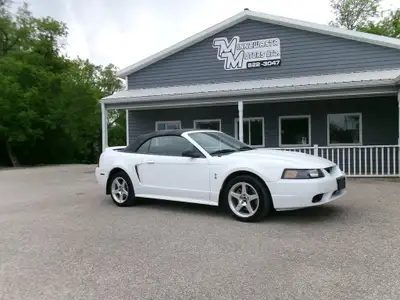 HERE'S A REAL DEAL 1999 FORD MUSTANG SVT COBRA CONVERTIBLE, LOCAL TRADE, CAR SHOWS EXCEPTIONAL. CAR...