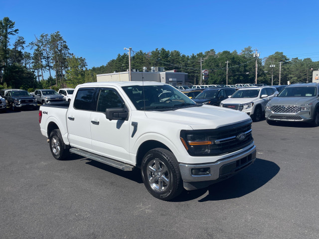 2024 Ford F-150 XLT -Navigation-Clean Carfax- in Cars & Trucks in Annapolis Valley - Image 4