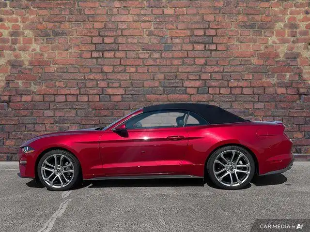 2020 Ford Mustang Ecoboost Premium62938484031875121