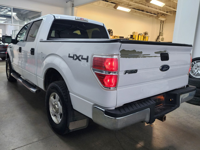 2014 Ford F 150 XLT, Inspected, CarFax-No Accident  in Cars & Trucks in Edmonton - Image 4